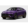 LOOKSMART Lamborghini Urus SE (%)