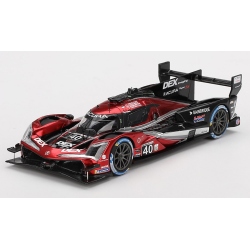 TRUESCALE Acura ARX-06 GTP...