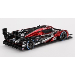 TRUESCALE Acura ARX-06 GTP n°40 24H Daytona 2024 (%)